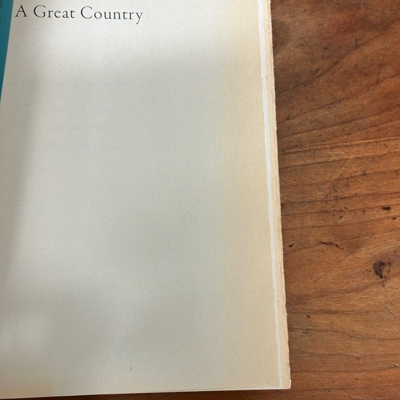 A Great Country by Shilpi Somaya Gowda - Picture 14 of 14